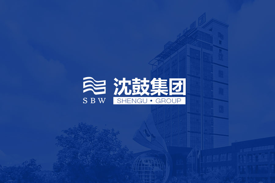 沈鼓集團(tuán)網(wǎng)站建設(shè)
